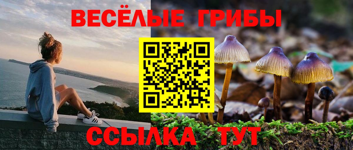 Галлюциногенные грибы Psilocybine cubensis Красный Сулин